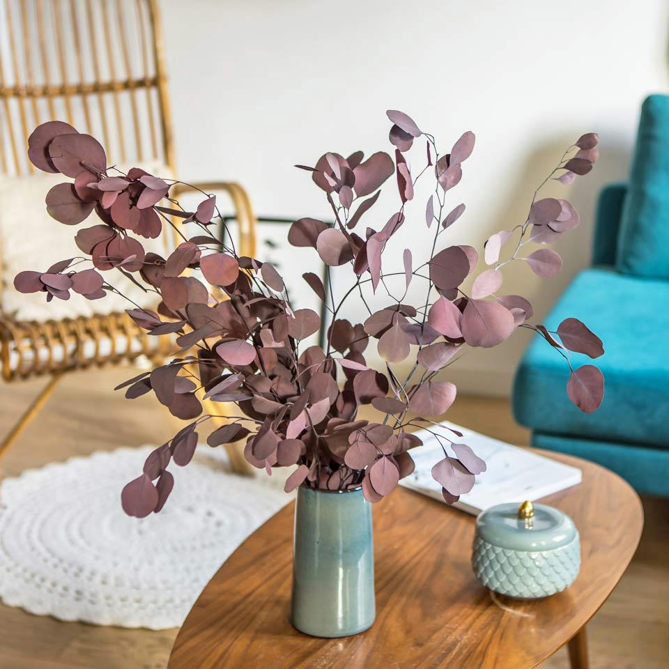 EUCALYPTUS - Botte de fleurs séchées eucalyptus populus rouge