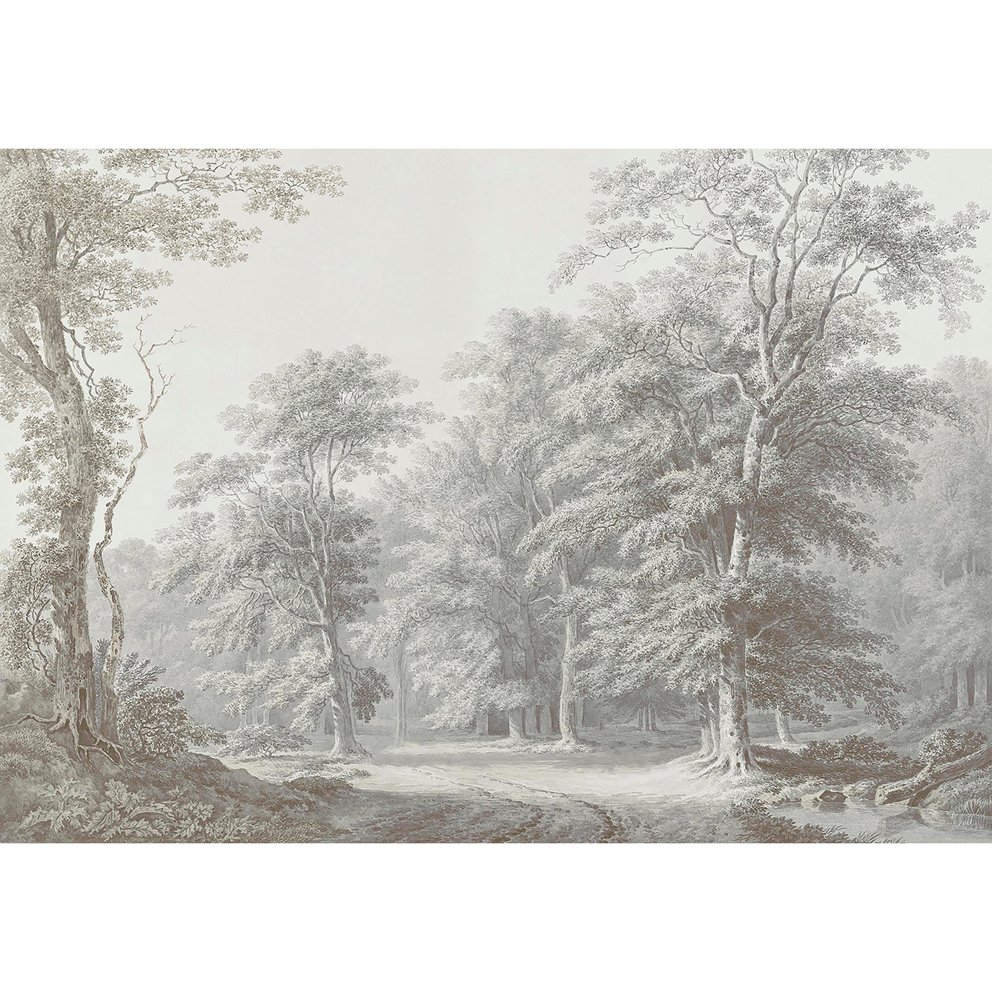 Superfresco Easy Fotobehang - Stately Woodland - 400x280
