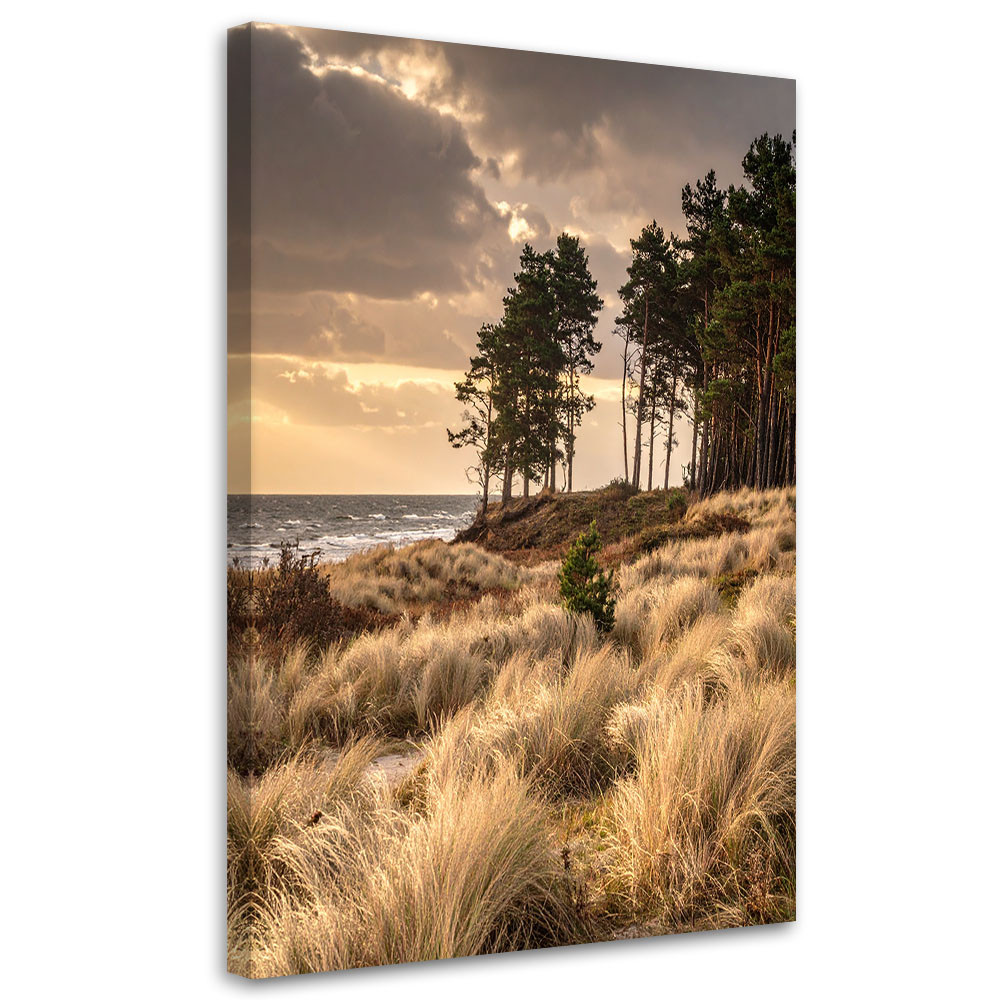 Obraz do salonu sypialni biura loftu, Widok Plaża Wydmy i Morze 20x30