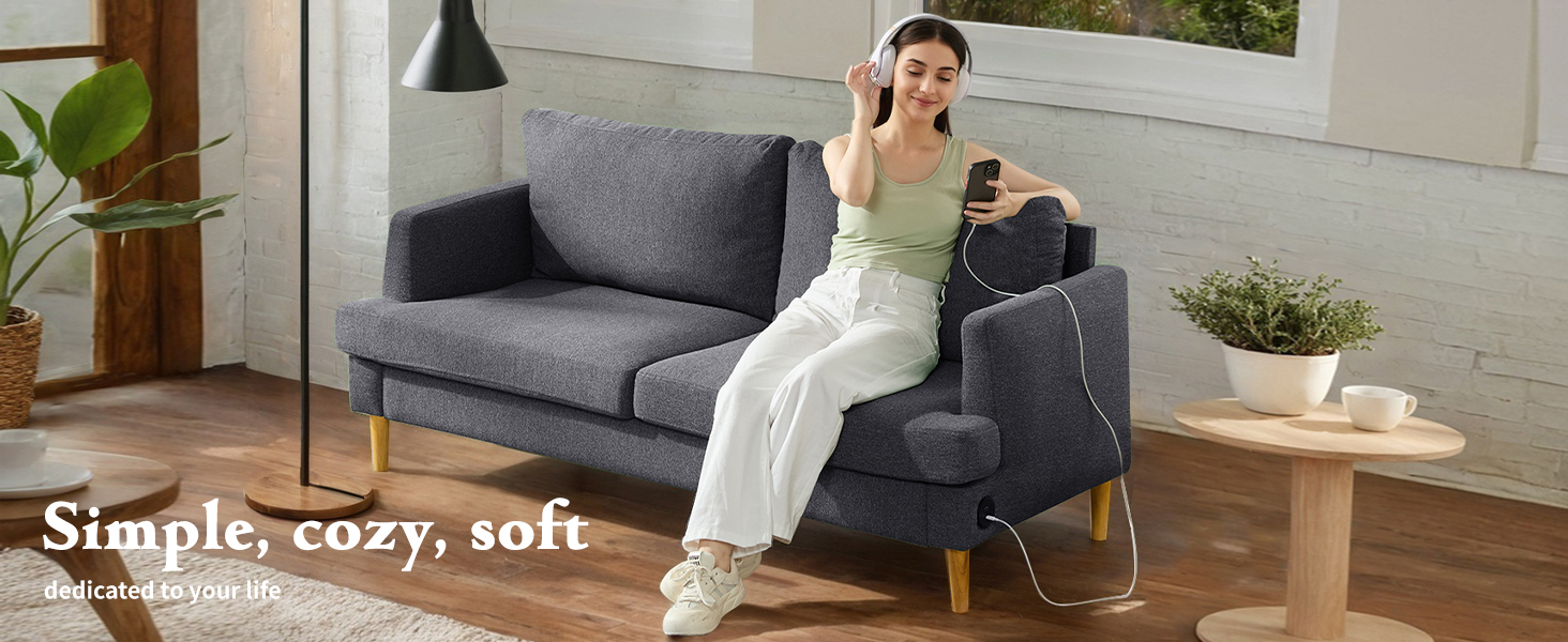 Loveseat Sofa