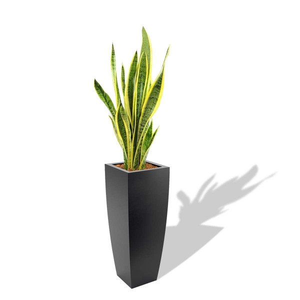 Doniczka Z Polietylenu JUNO PL-JU92 PD Concept Czarna