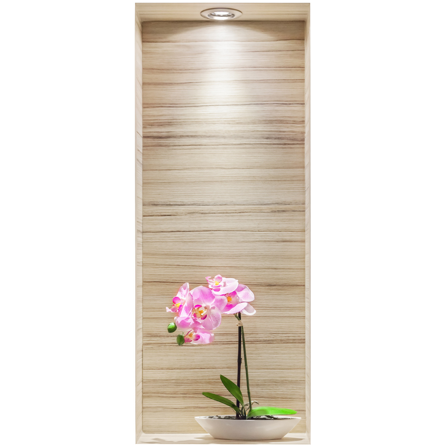 Efekt dziury w ścianie storczyk elegancja naklejka 3D 40x100
