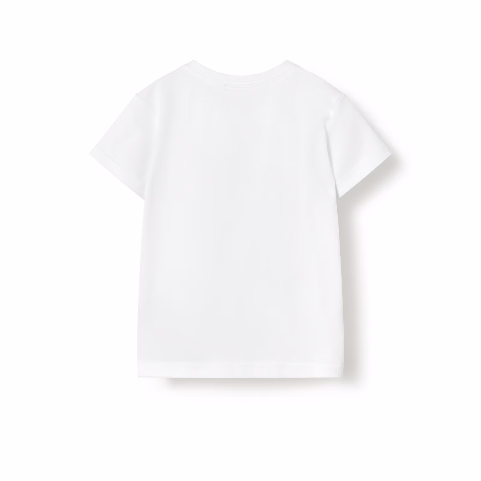 Camiseta de playa Kaos bruma