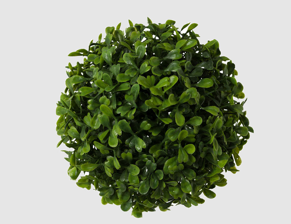 Buchsbaumball