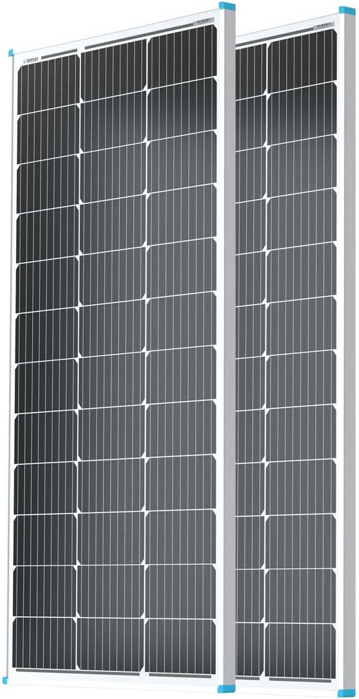 Solar Panel 100 Watt 12 Volt, High-Efficiency Monocrystalline PV Module Power Charger for RV Marine Rooftop Farm Battery and Other Off-Grid Applications, RNG-100D-SS, Single 100W(200W 2-Pack Panels)