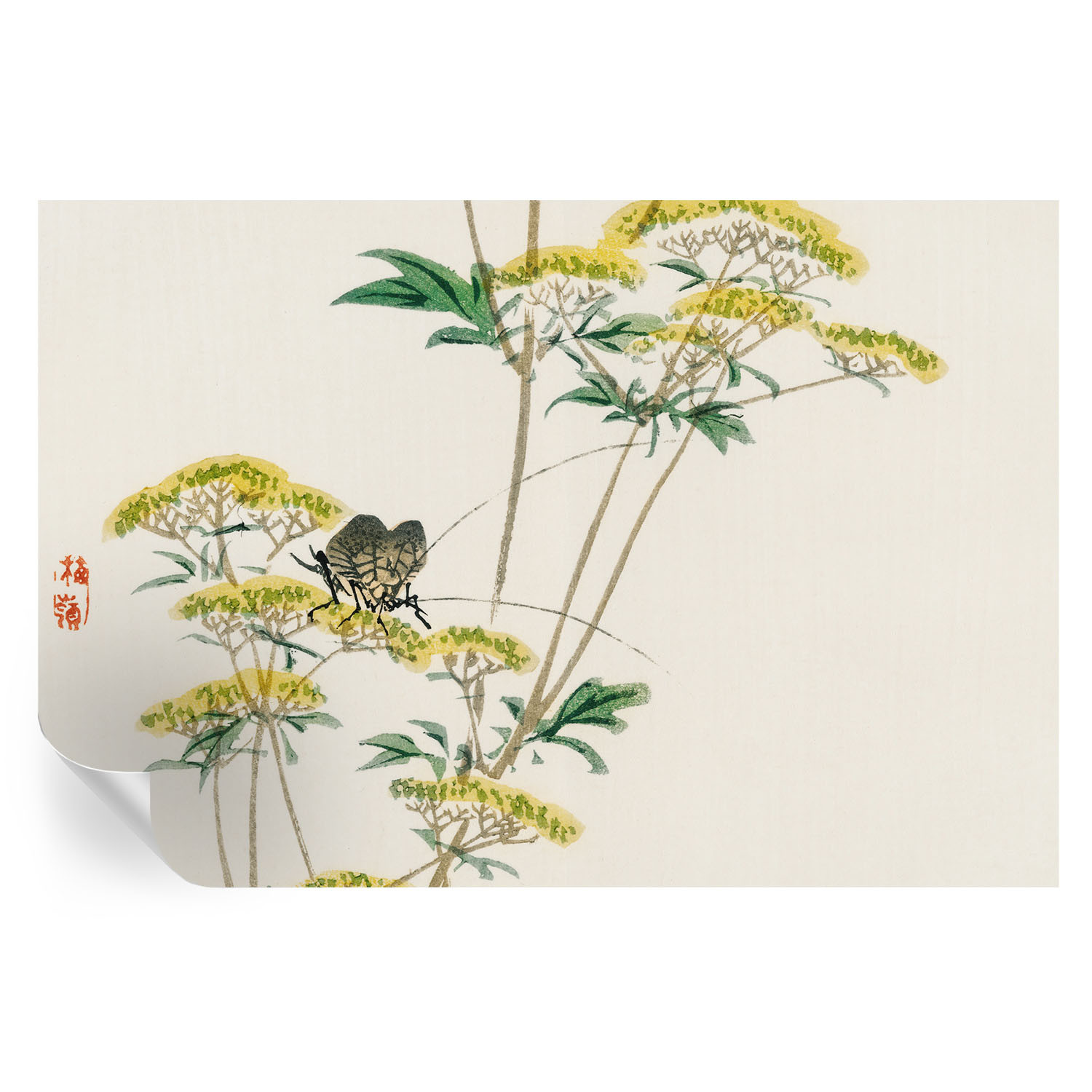 Samoprzylepna tapeta Kwiaty natura 104x70 Tulup
