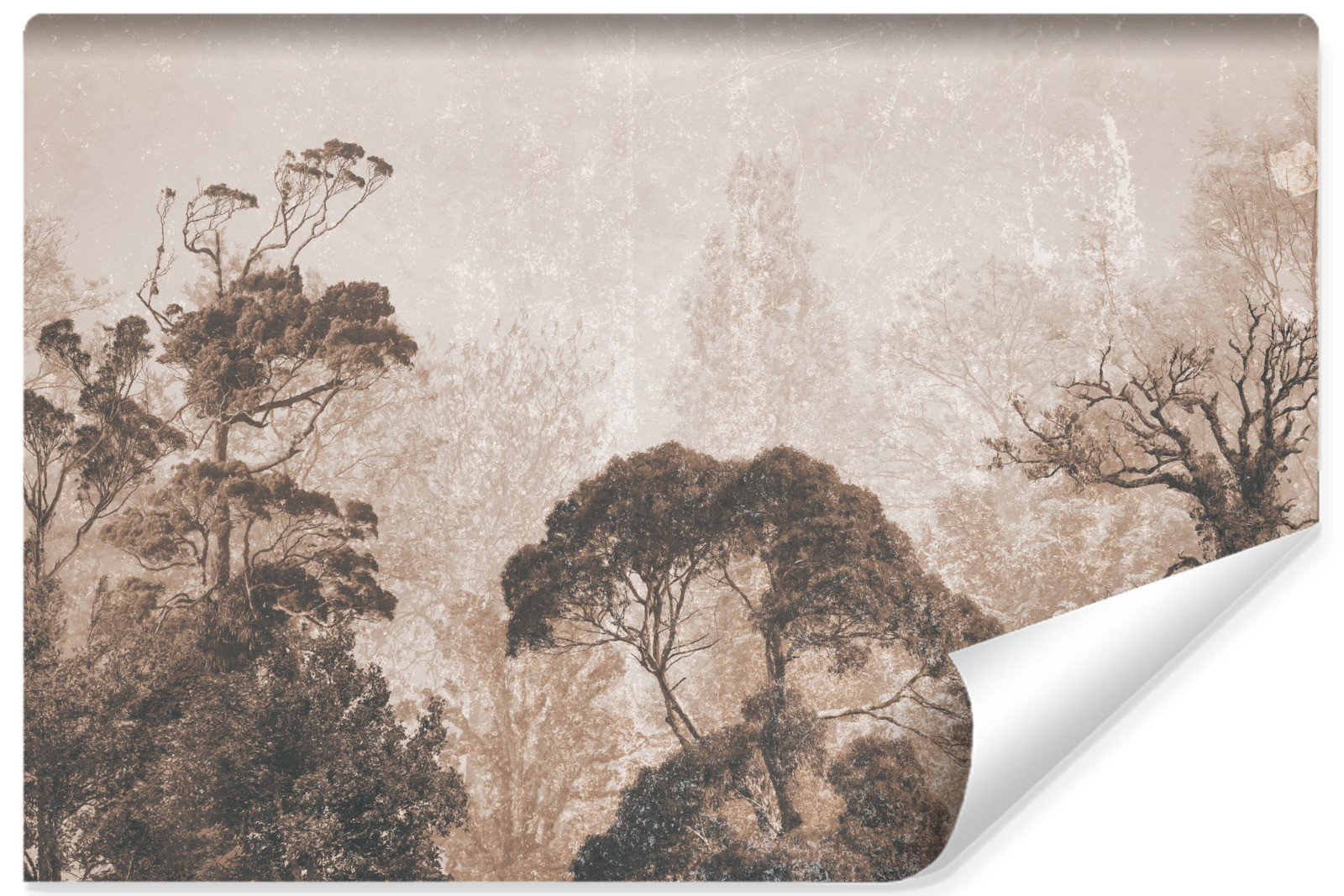 Fototapeta Tropikalny Las We Mgle Vintage 90x60cm