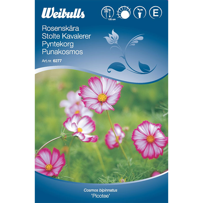 Rosenskära 'Picotee'
