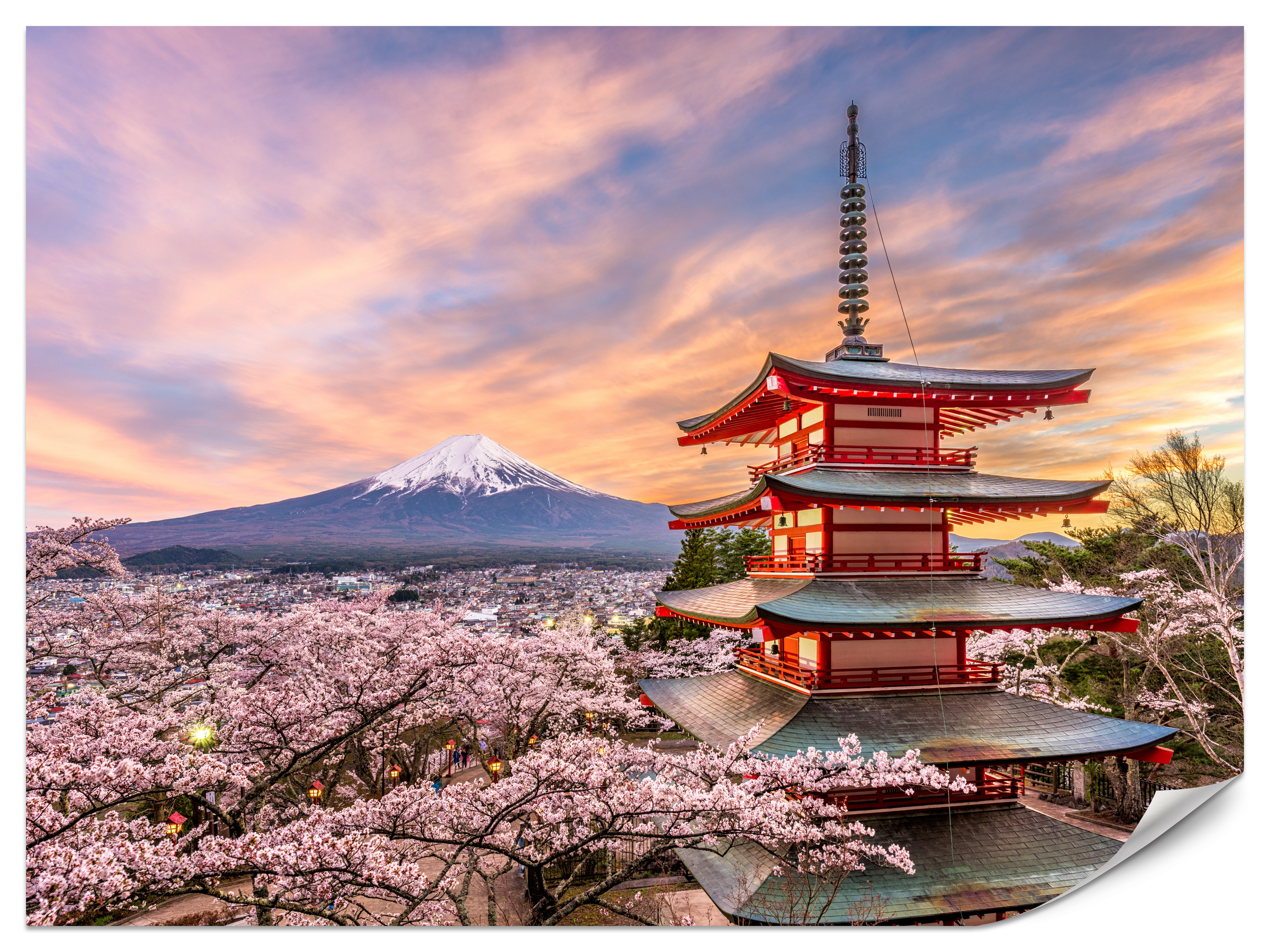 Fototapeta Japońska pagoda wiosną 100x70cm