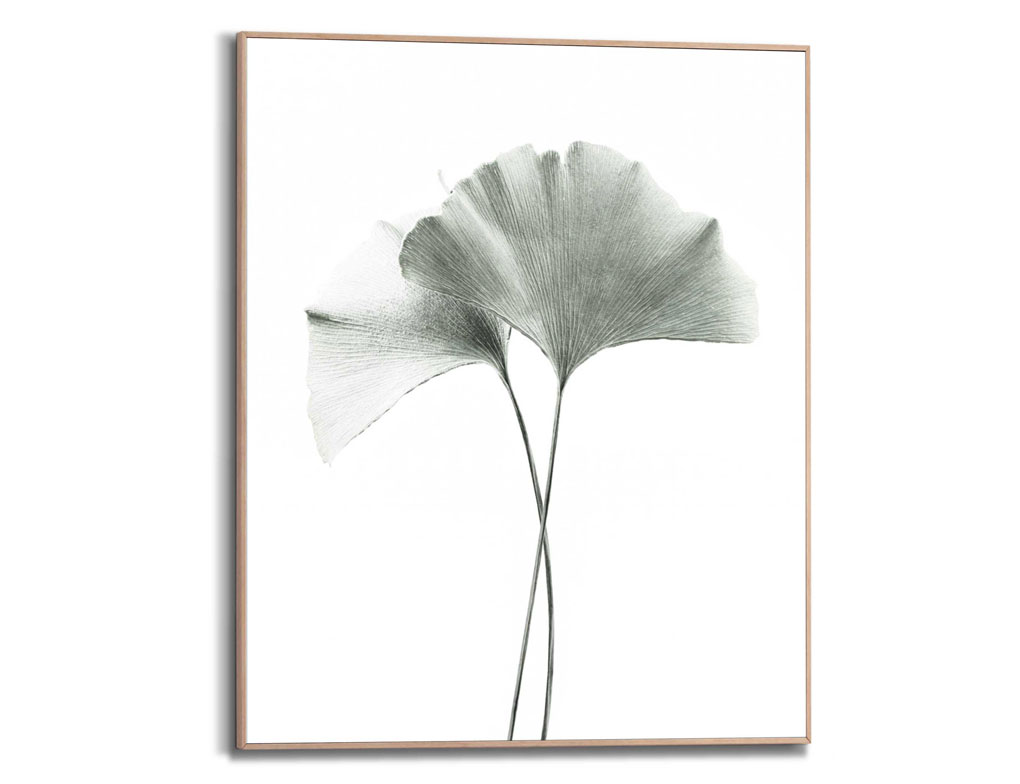 Bild Slim Frame Wood Ginkgo