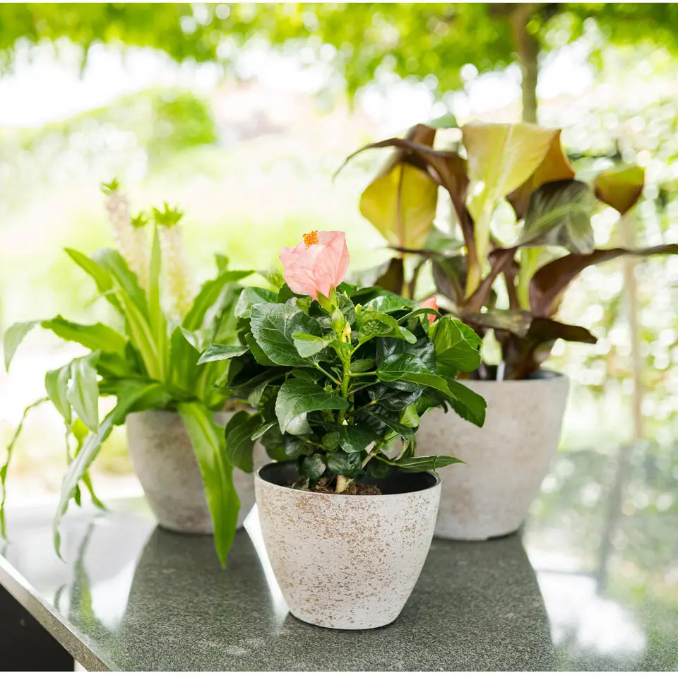 Ter Steege Bloempot/plantenpot - buiten - beige/goud - D43/H33 cm