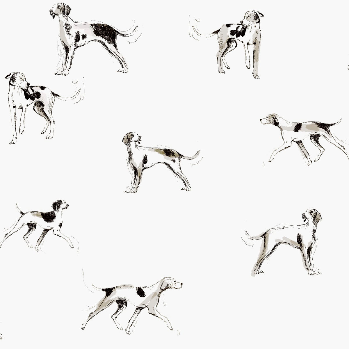 Joules Vliesbehang - Sketchy dogs - Wit - 10mx52cm