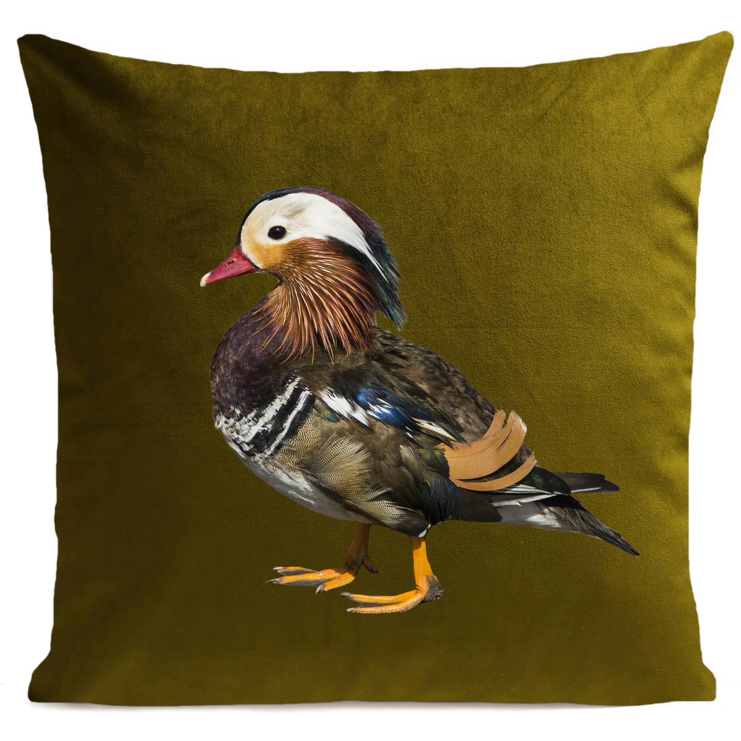 - Coussin campagne canard vert suédine 40x40cm