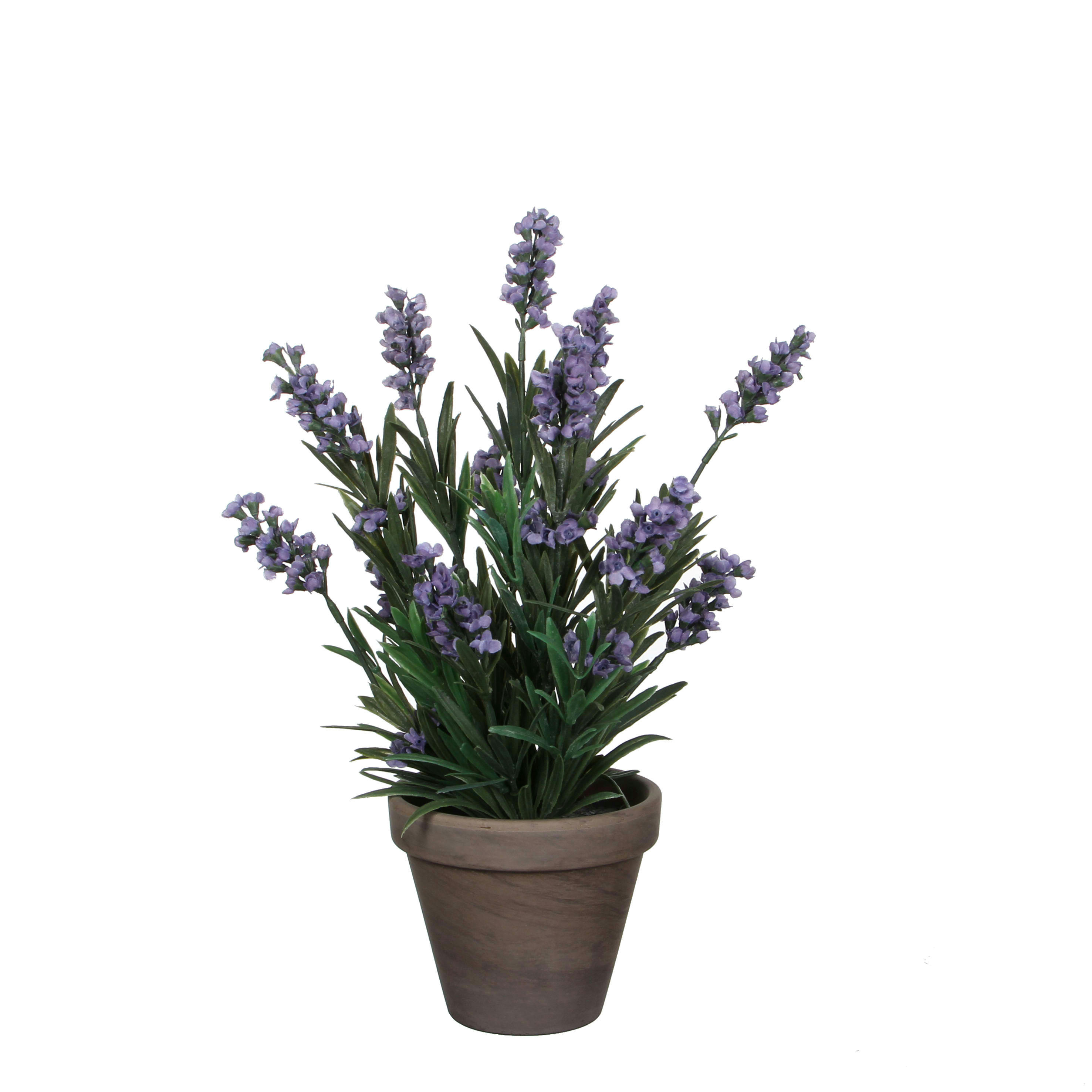 - Lavande artificielle bleu en pot H33