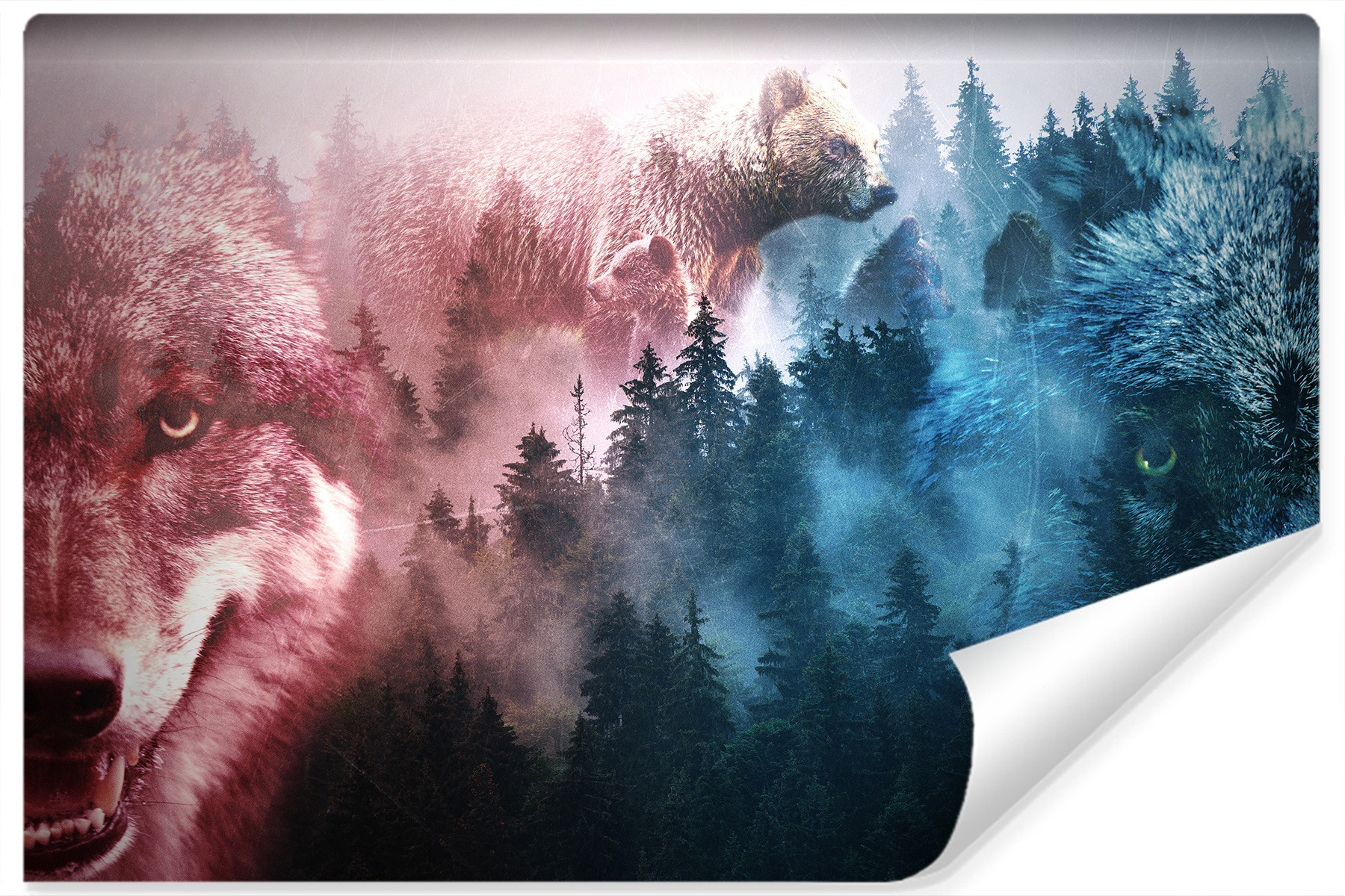 Fototapeta WILKI Niedźwiedzie Las Kolaż 3D 90x60cm