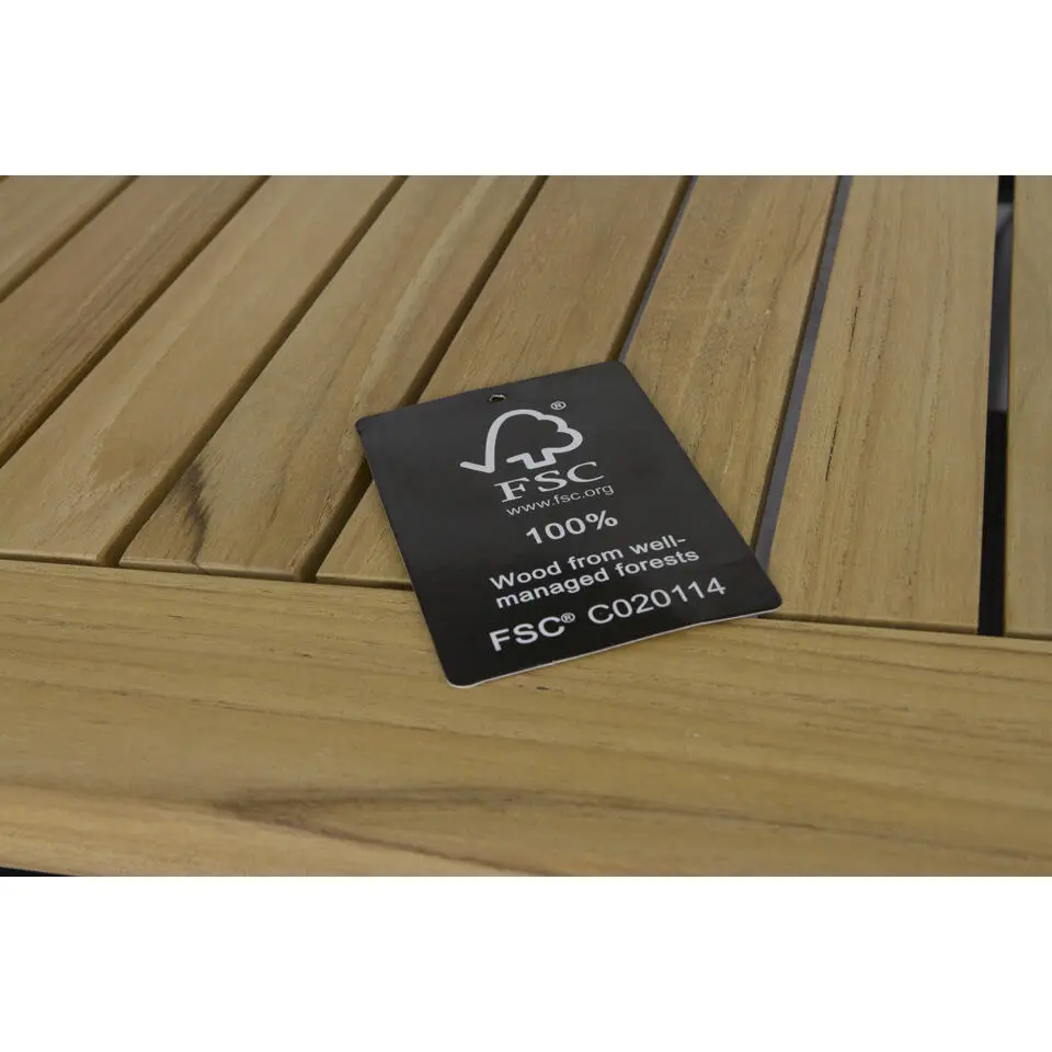 Hartman Da Vinci / Sonata 160 cm. verstelbare tuinset