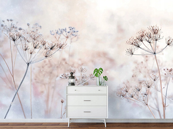 Papier Peint Panoramique Intissé Fleurs Pissenlits Beige - 300x210 cm - Papier Peint Chambre et salon