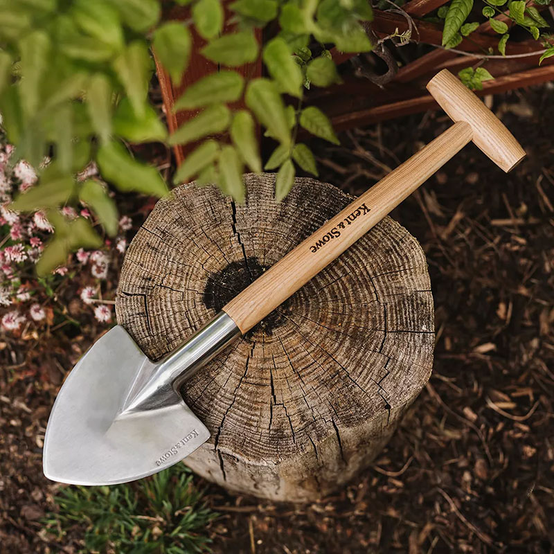 Perennspade