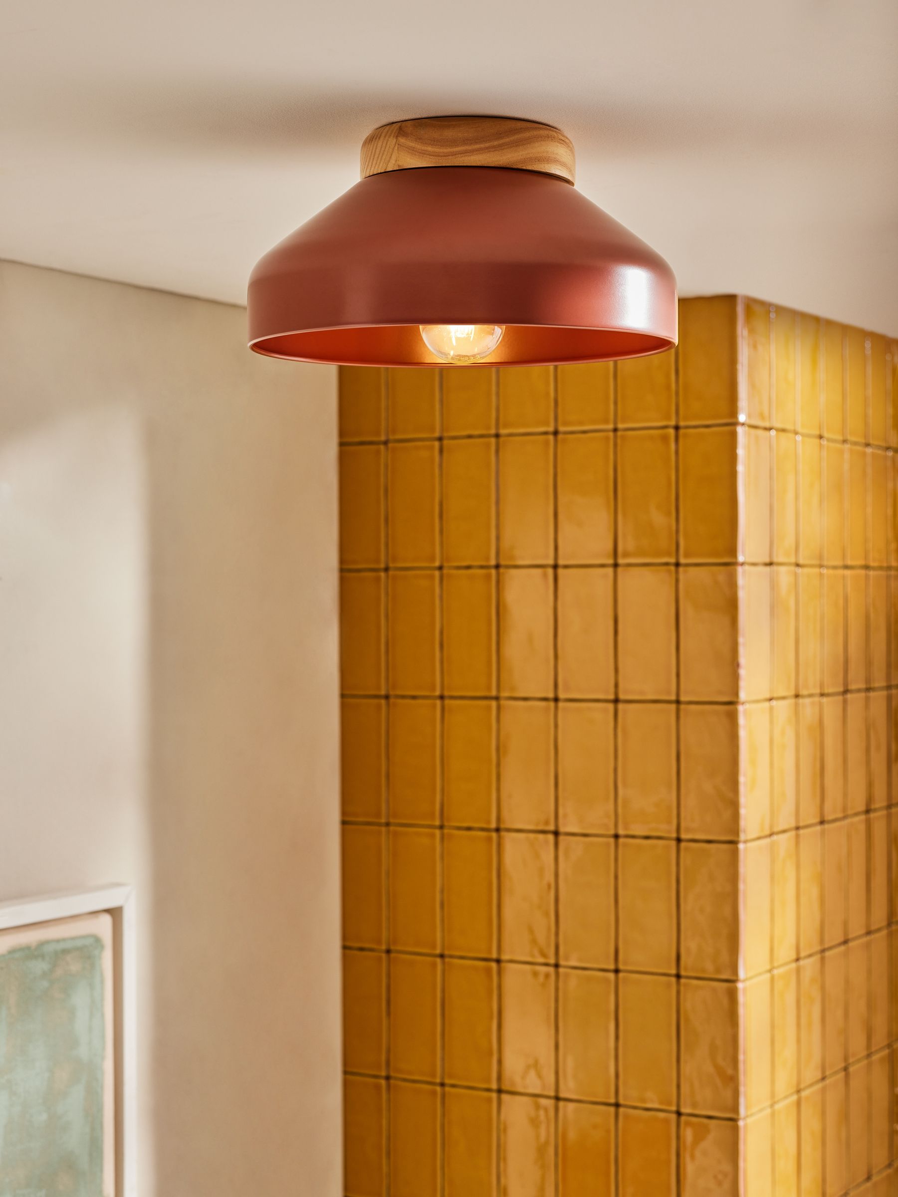 Terracotta Albert Flush Fitting Ceiling Light