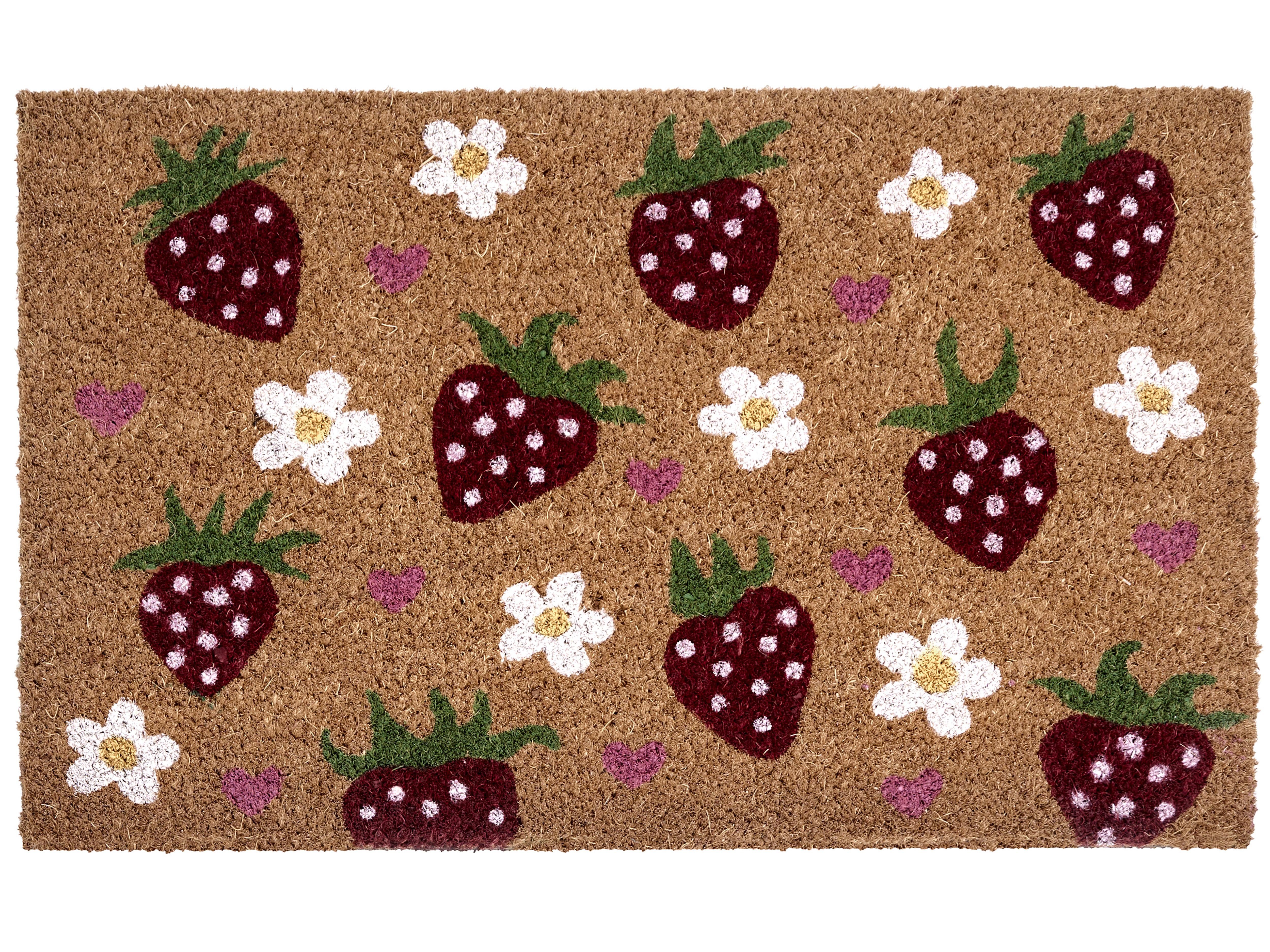 Doormat SHAININ Multicolour 40 x 60 cm Coir