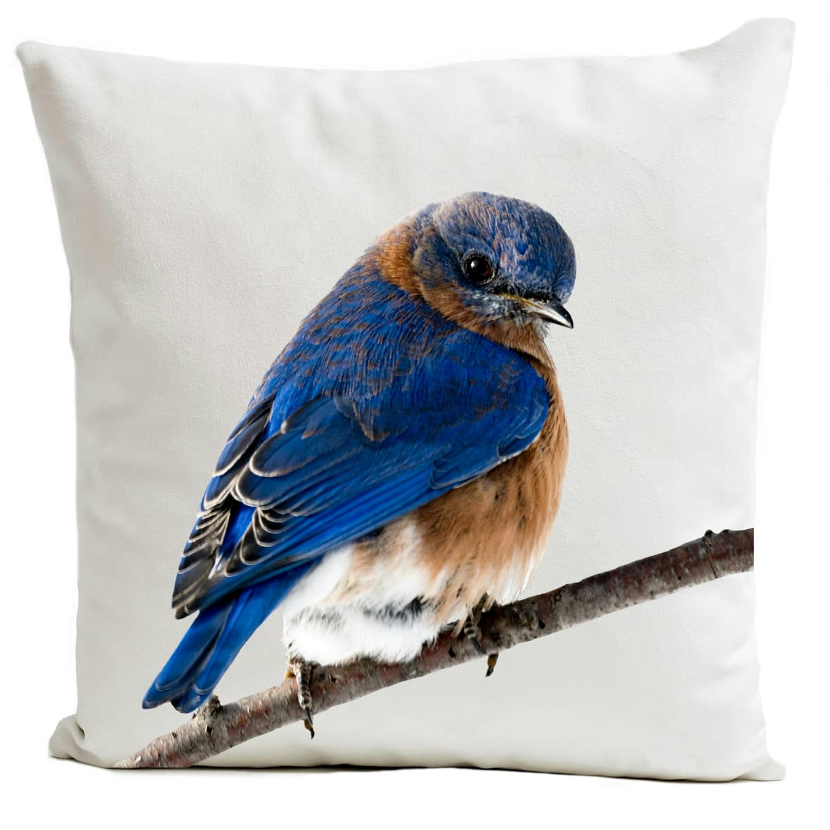 - Coussin campagne oiseau suédine blanc 40x40cm
