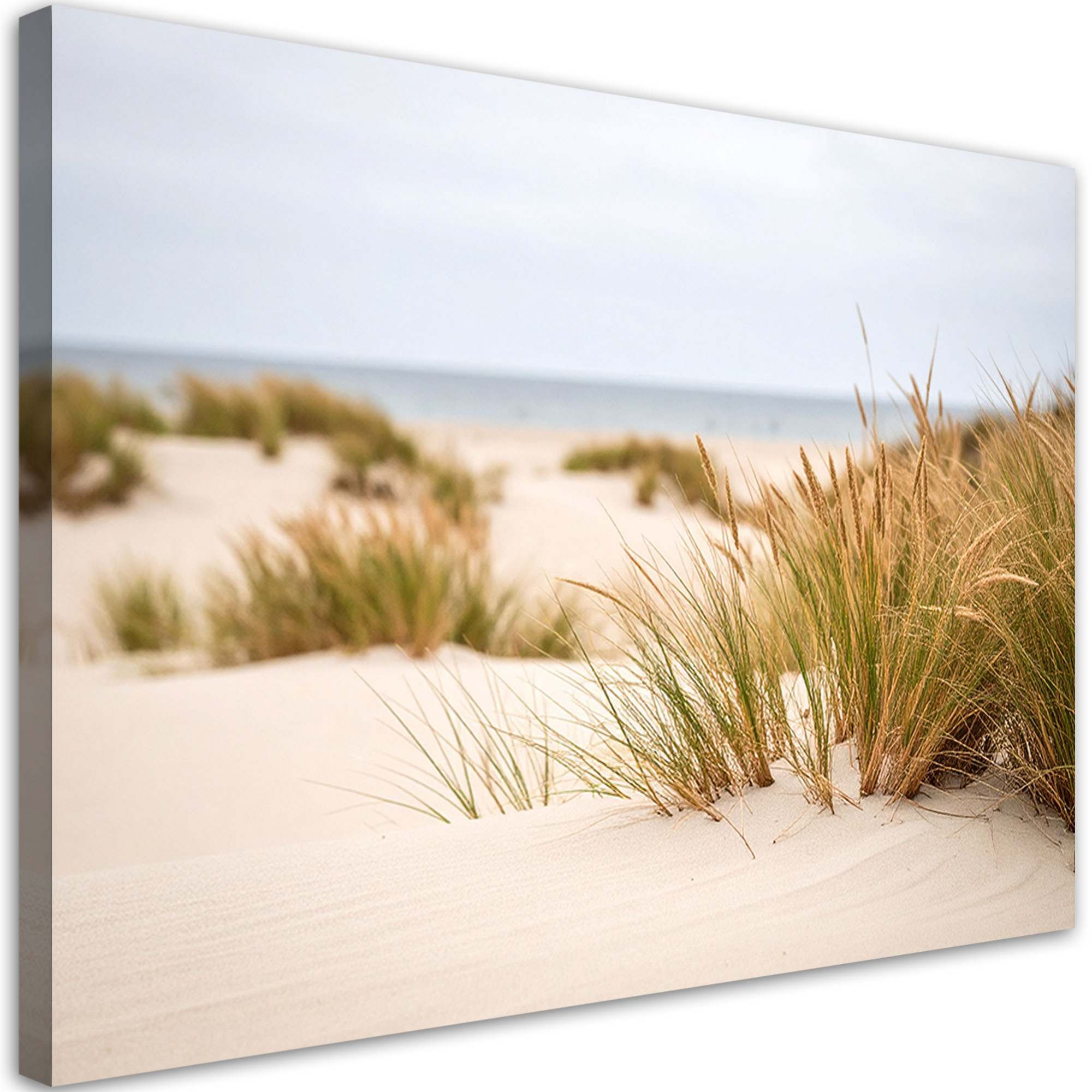 Obraz do salonu kuchni biura, Plaża morze rośliny wydmy natura 30x20