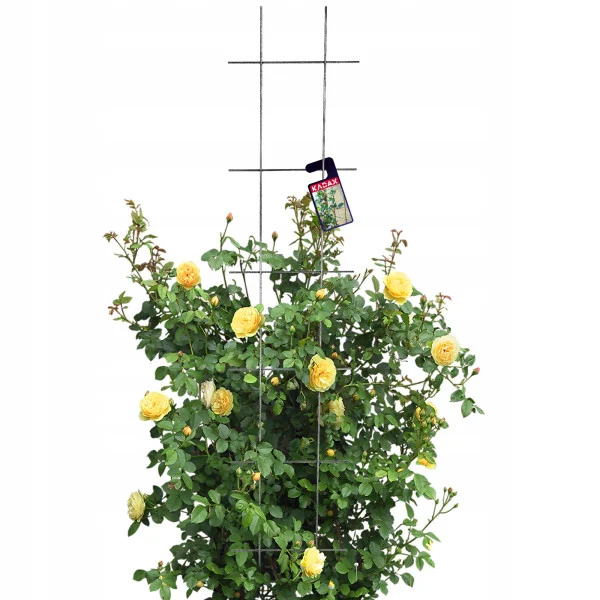 Drabinka Na Kwiaty Metalowa Pergola Podpora 30x150