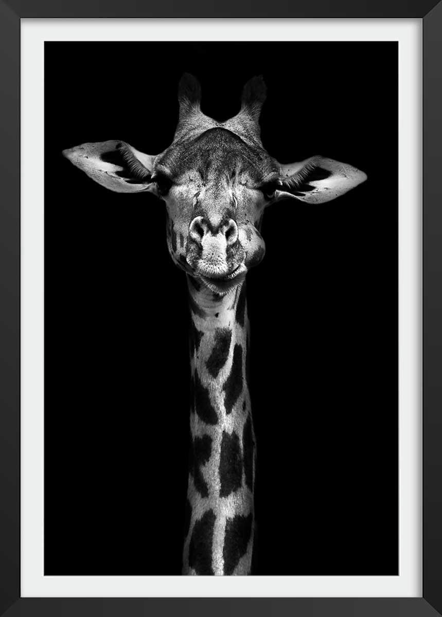 - Affiche girafe haute en portrait avec cadre noir 30x45cm