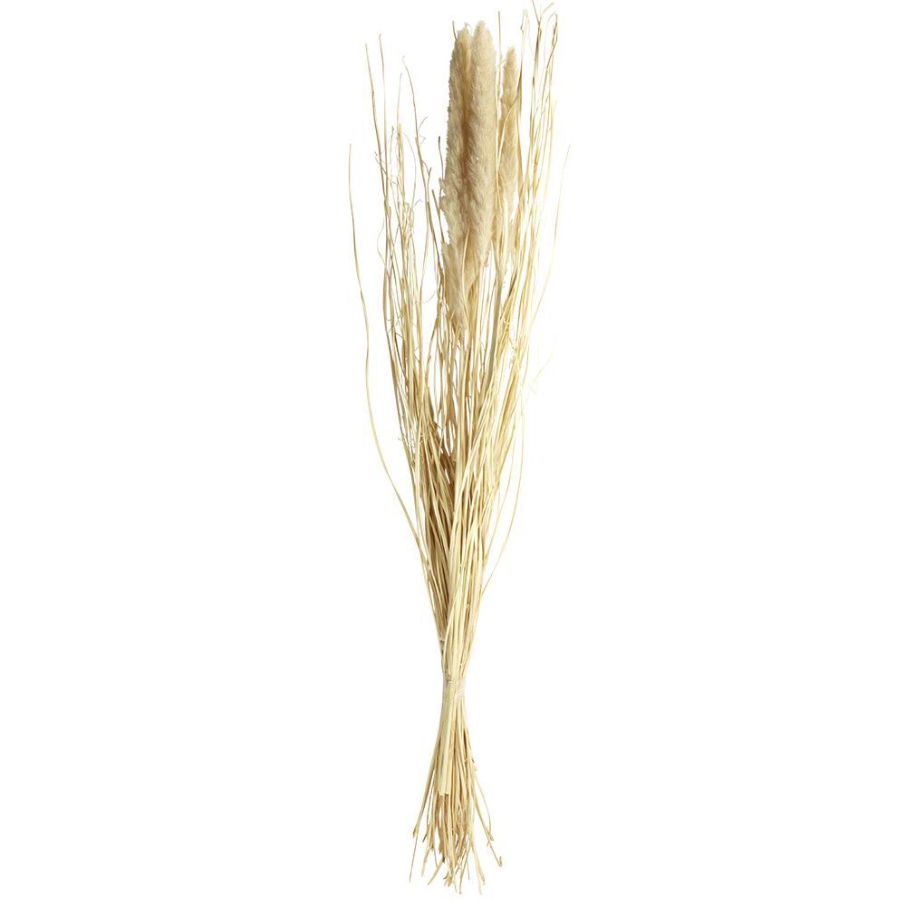 Bouquet Foxtail séché marron H85cm
