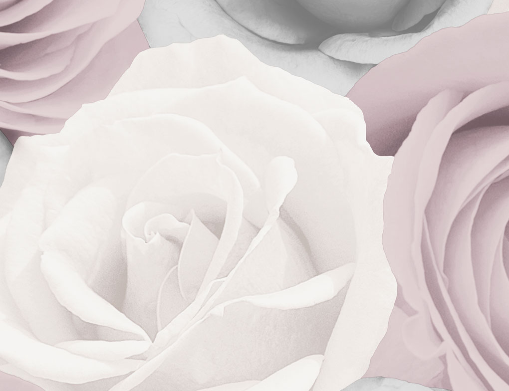 Papiertapete Rosen Grau, Rosa