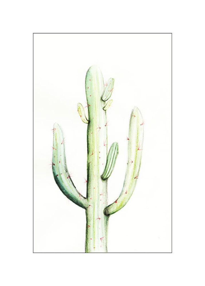 POSTER KOMAR SAGUARO WATERCOLOR 50 X 70 CM