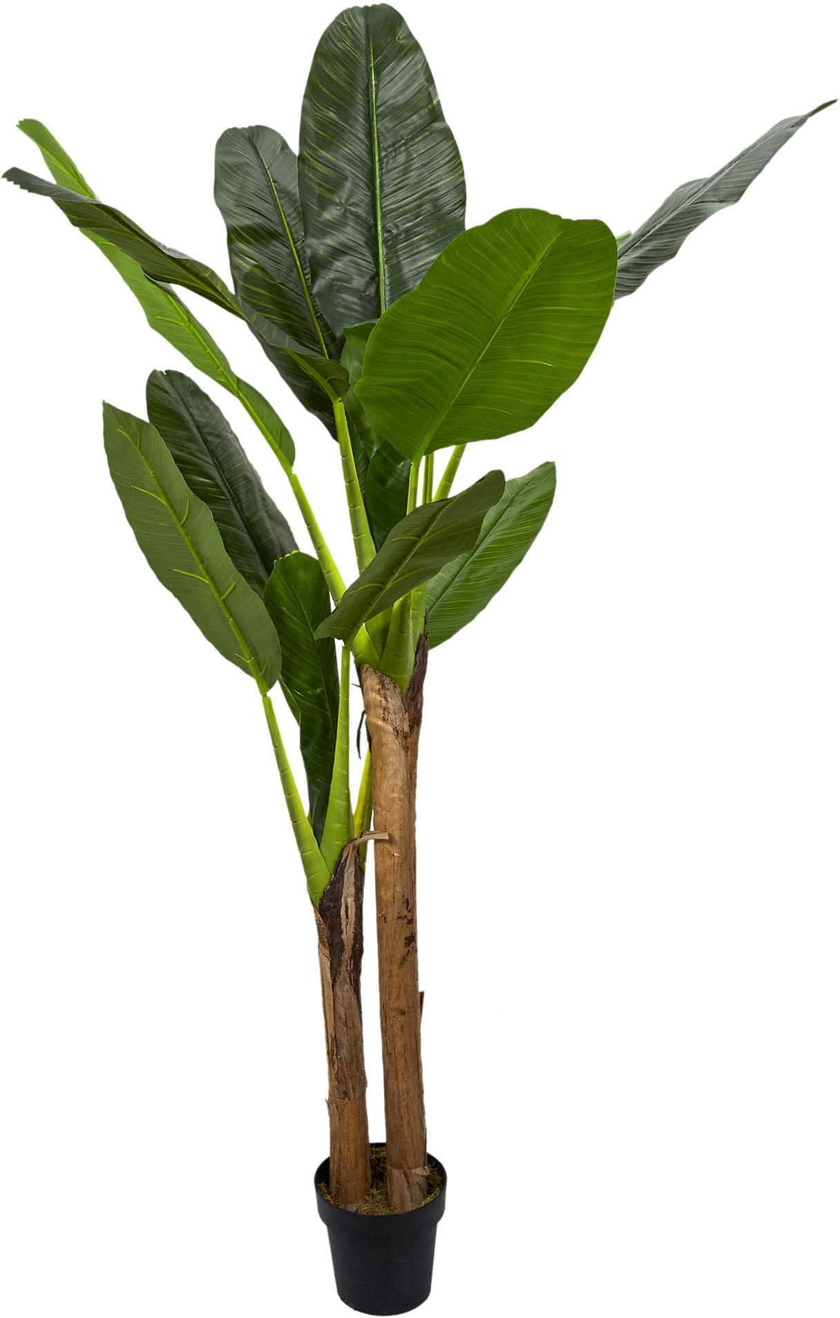 - Bananier artificiel en pot 160 cm