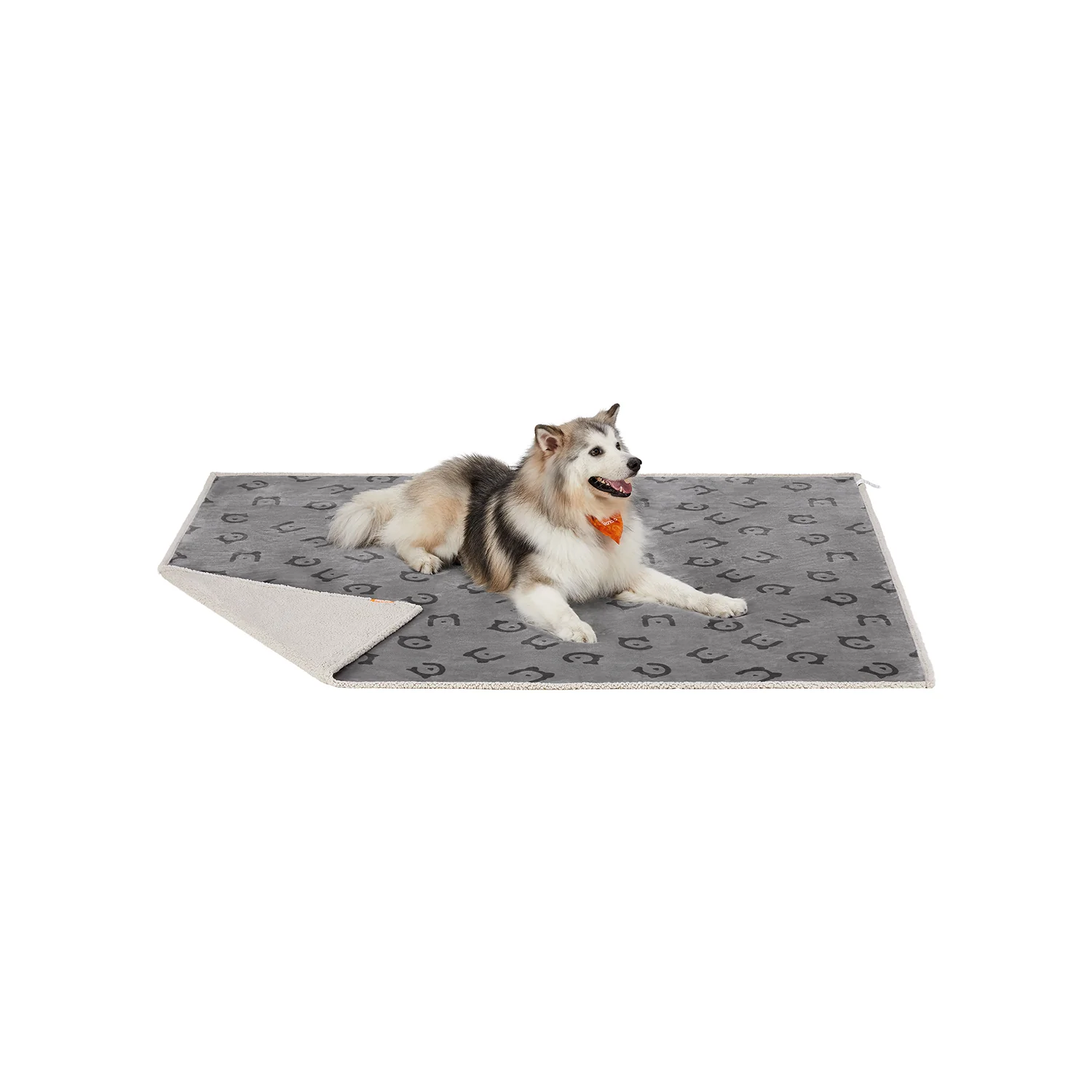 Couverture Chien Hydrofuge