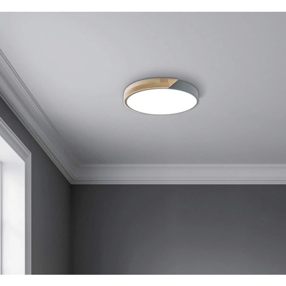 LED-Deckenleuchte »BORNEO«, ∅xH: 31 x 6 cm, Metall/Kunststoff