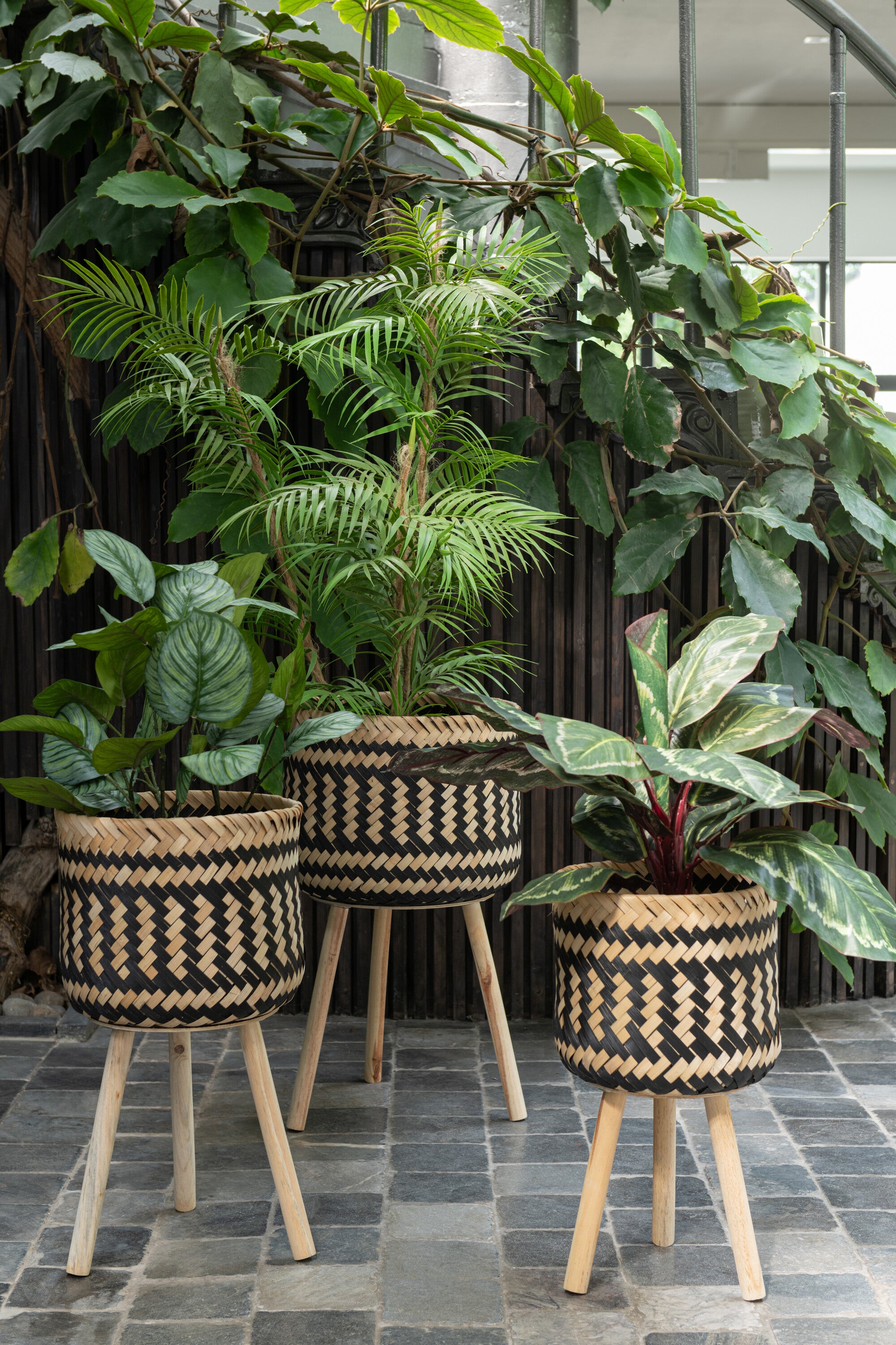 J-Line plant Pothos Plant In Pot - kunststof - groen