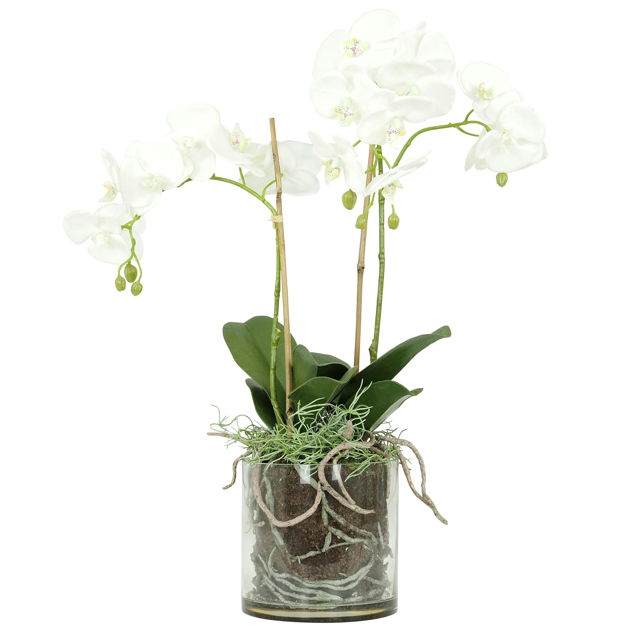 - Orchidée artificielle toucher naturel en pot en verre H65cm