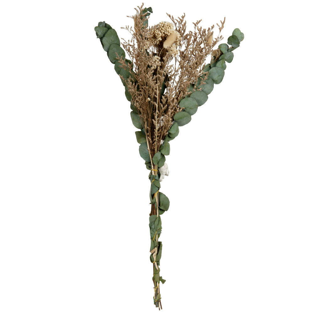 VERANO - Bouquet de fleurs séchées beige