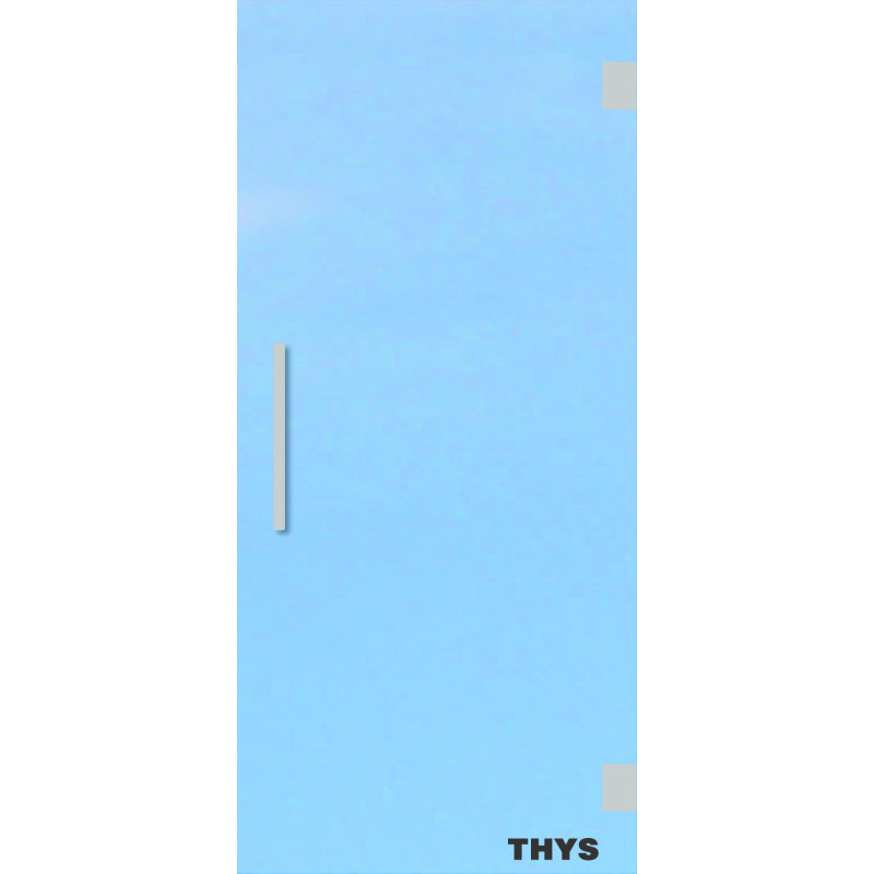 Porte en verre securit poignées et charnières en inox Thytan Everyway clair 78 x 201 cm THYS