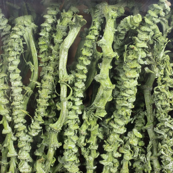 Trockenblumen
