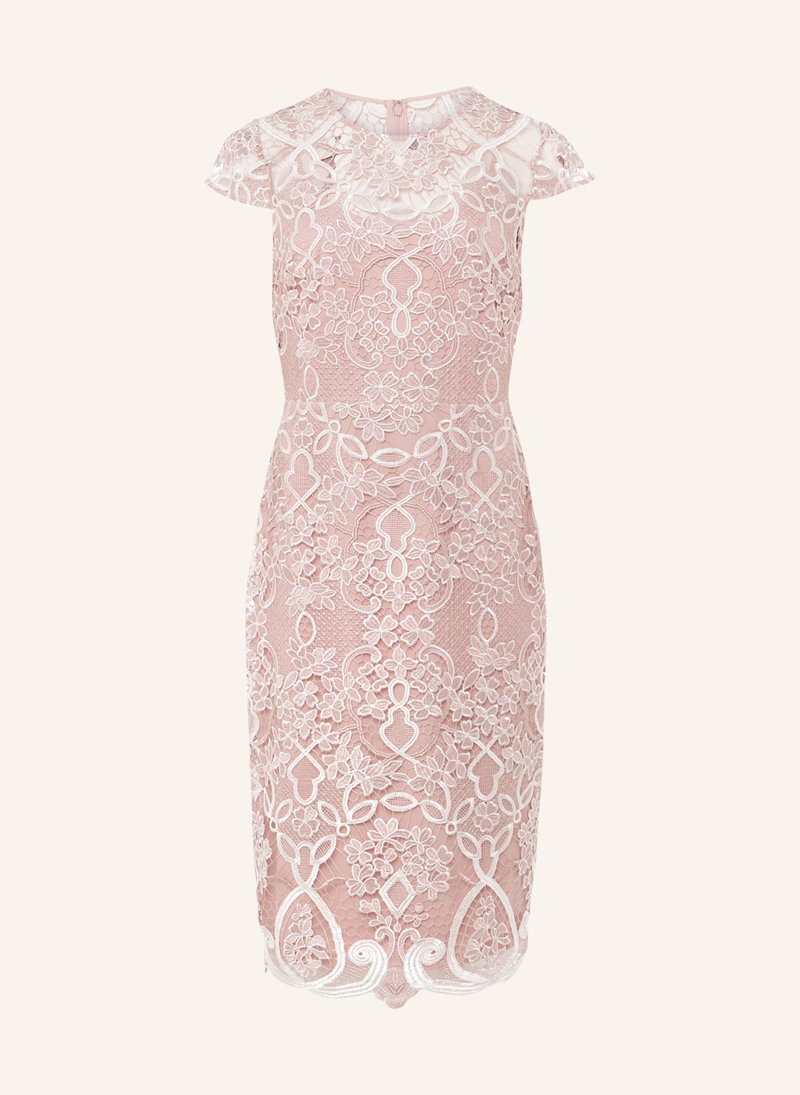 Phase Eight Spitzenkleid FRANCIS