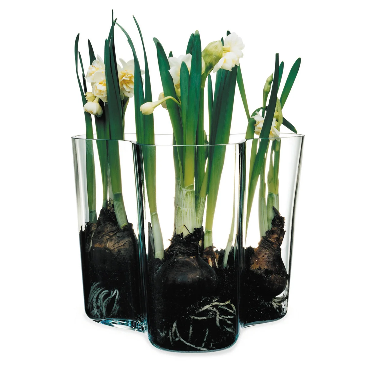 Iittala - Aalto Vasen-Set 160   95 mm, klar