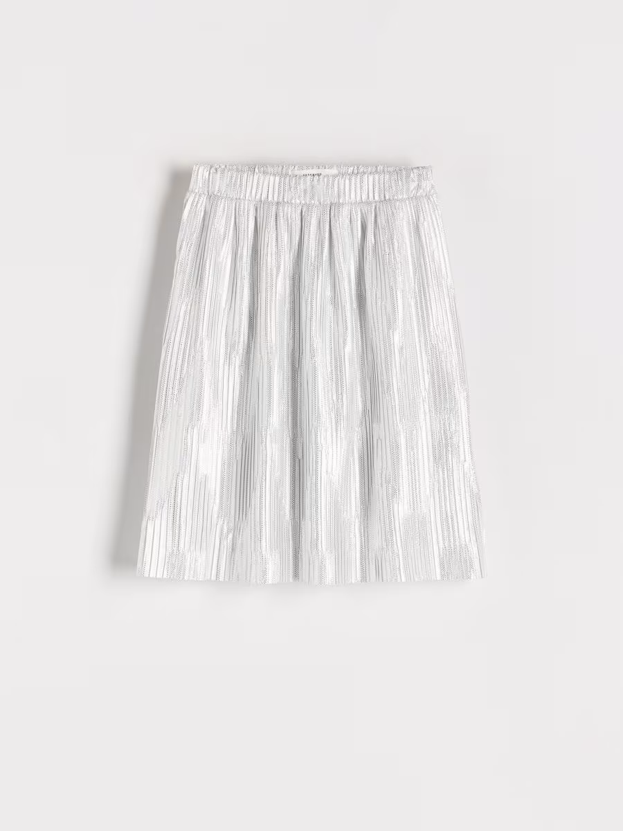 Shiny Fabric Skirt