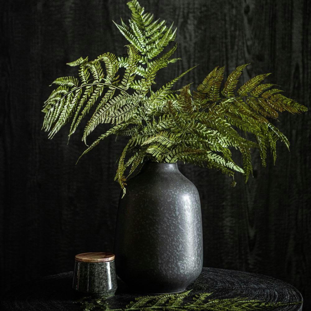 NIWA - Fougère séchée verte