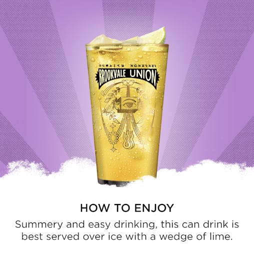 Brookvale Union Vodka Passion Fruit Mixed Drink, Fruity & Refreshing Finish, 4% ABV, 330mL (Case of 24 Cans)