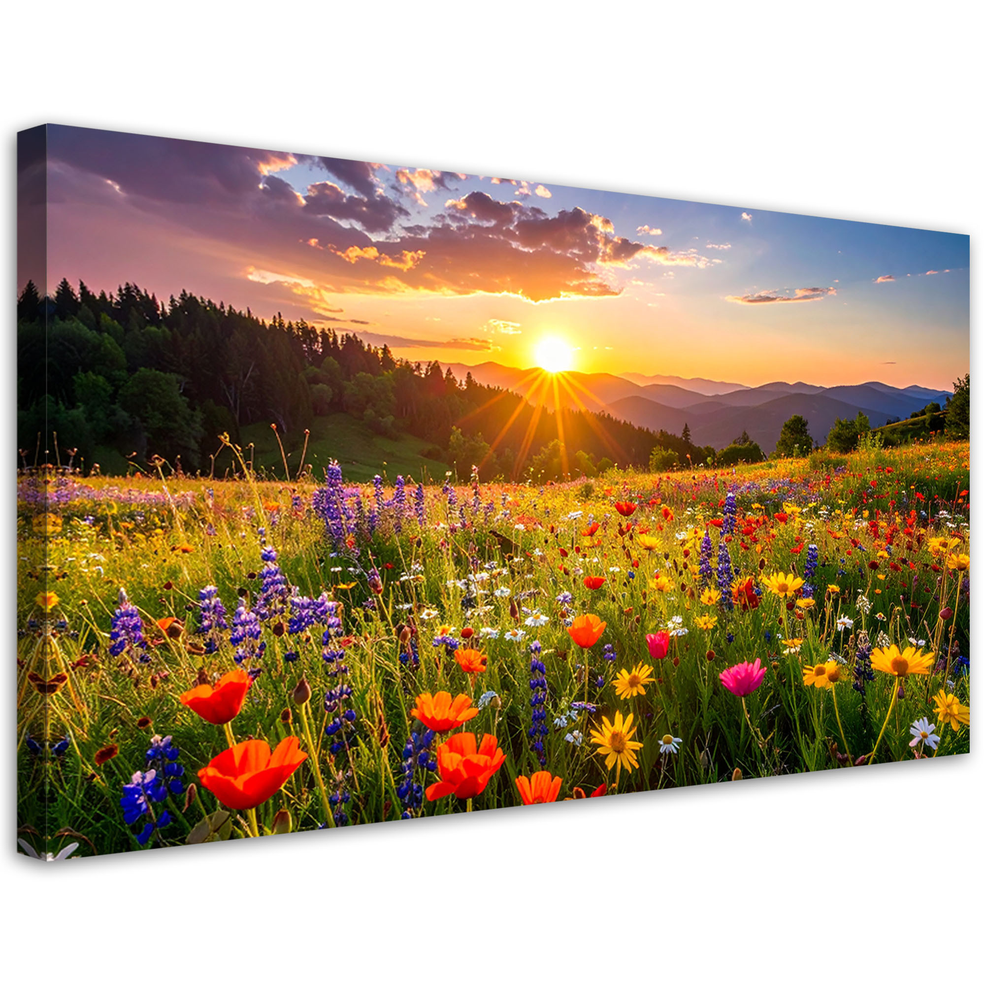 Obraz do salonu sypialni biura, Polne kwiaty na łace natura 80x40