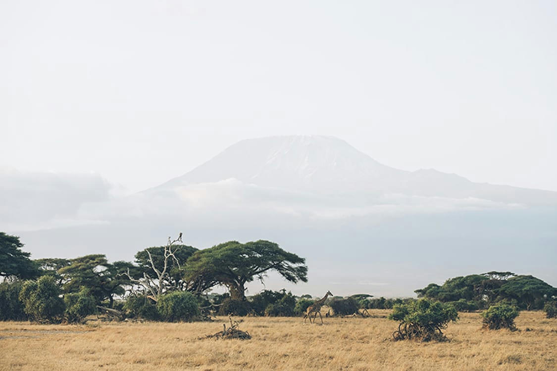 MONT KILIMANDJARO - Photographie d'art des BestJobers 30x45 cm sur alu
