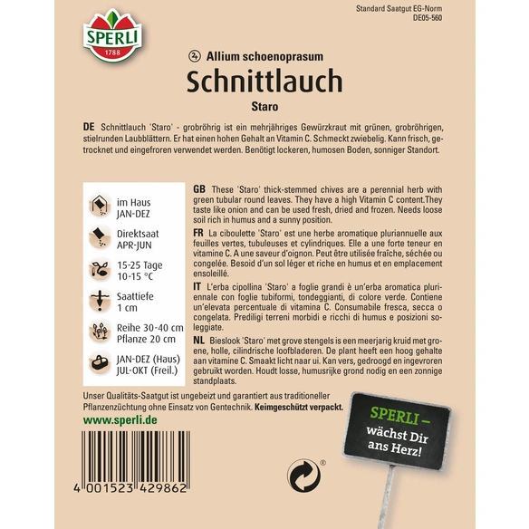 Schnittlauch »Staro«, mehrjährig, grobröhrig & standfest, ganzjähriger Anbau