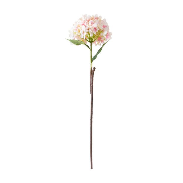 FLOR FLORENCE II HORTÊNSIA