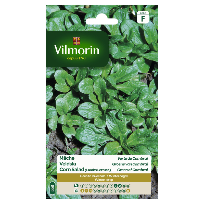 Semences de mâche Verte de Cambrai 15 g VILMORIN