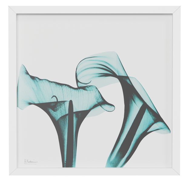 QUADRO 30 CM X 30 CM FLORES RAIO-X II